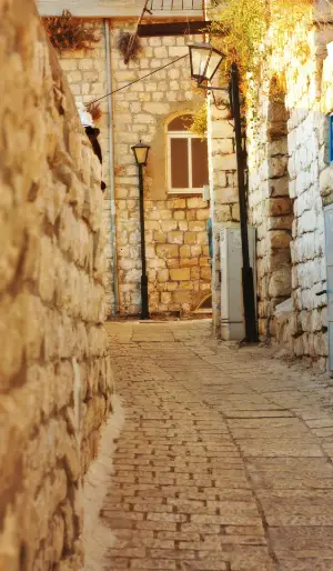 תמונת גלריה מספר 2